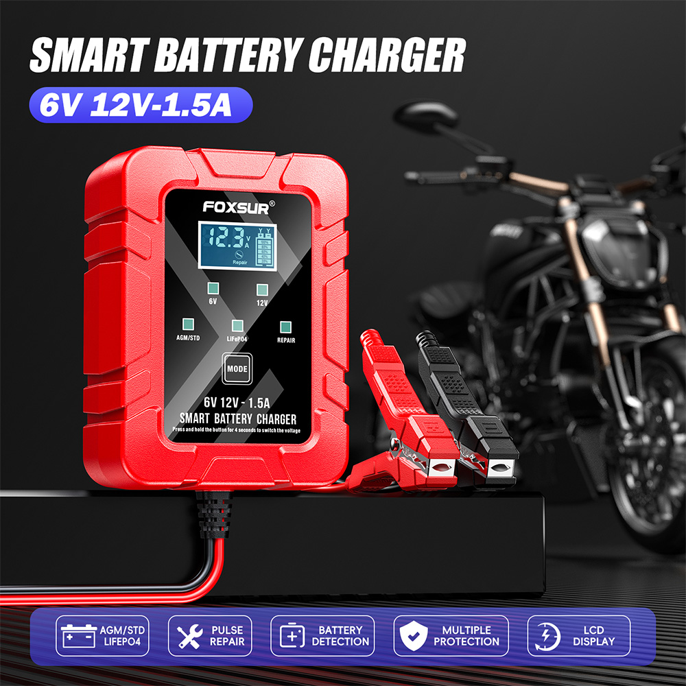 Lifepo4 Battery Charger Smart Automatic - FOXSUR 6 فولت 12 فولت التلقائي